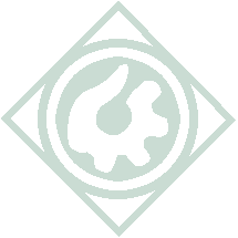 Esoteric University
