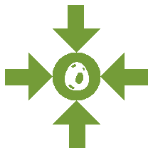 Growth Focus